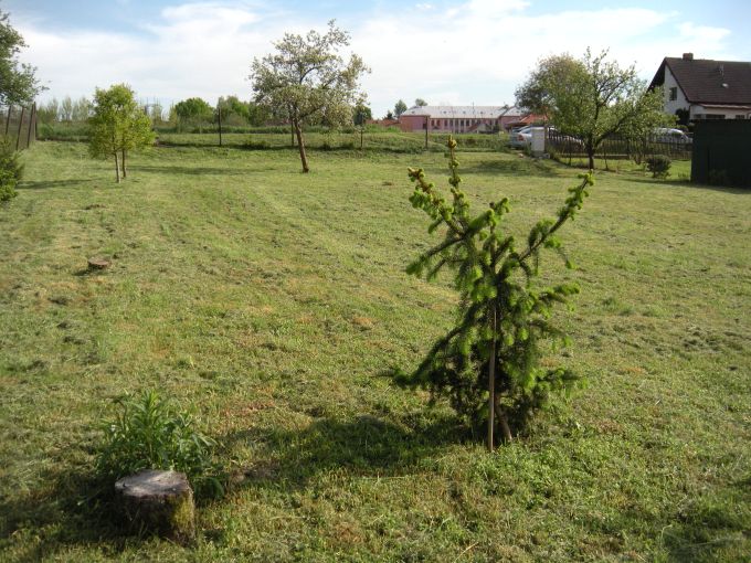 Foto: POZEMEK ZAHRADA 09 - Slunn stavebn parcela 1 042 m² na vstavbu RD v Krhanicch 